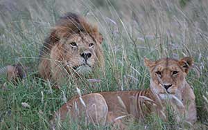 아프리카 1차투어(2017년11월)