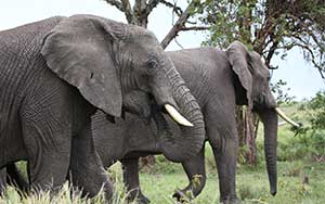 아프리카 2차투어(2018년3월)