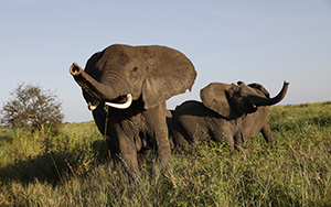 아프리카 투어 2024년2월