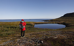 북극크루즈(2024년12월)