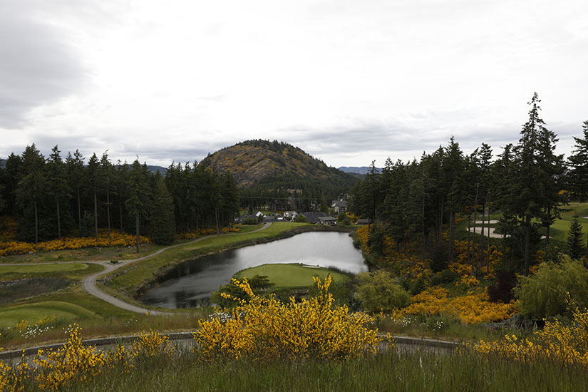 시애틀.캐나다 골프(2025년5월)